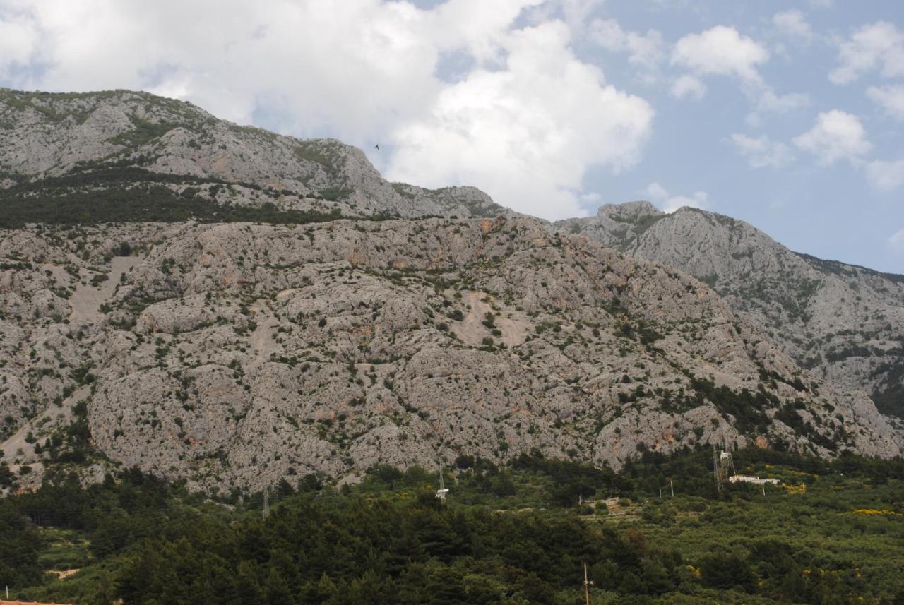 Apartments Natura Makarska Eksteriør billede