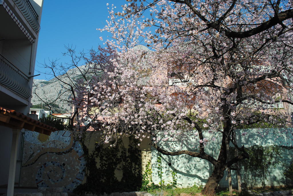Apartments Natura Makarska Eksteriør billede
